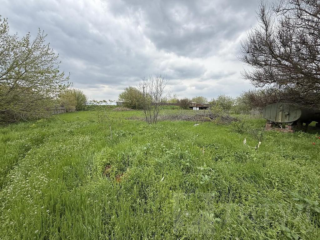 домрайон  Фото 7