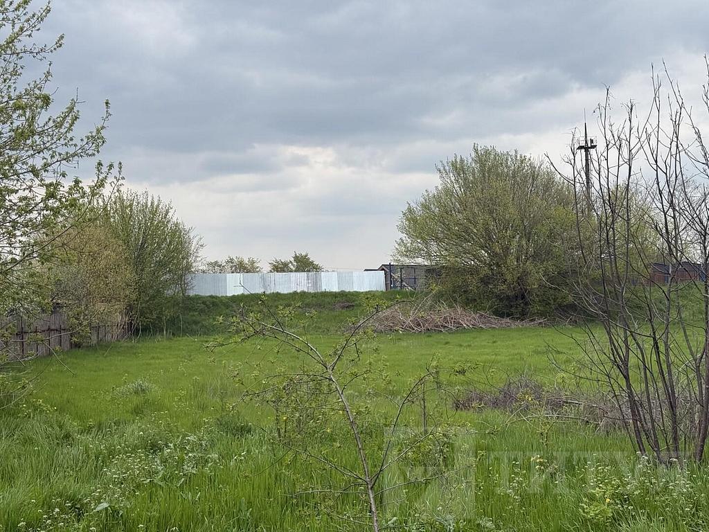 домрайон  Фото 6