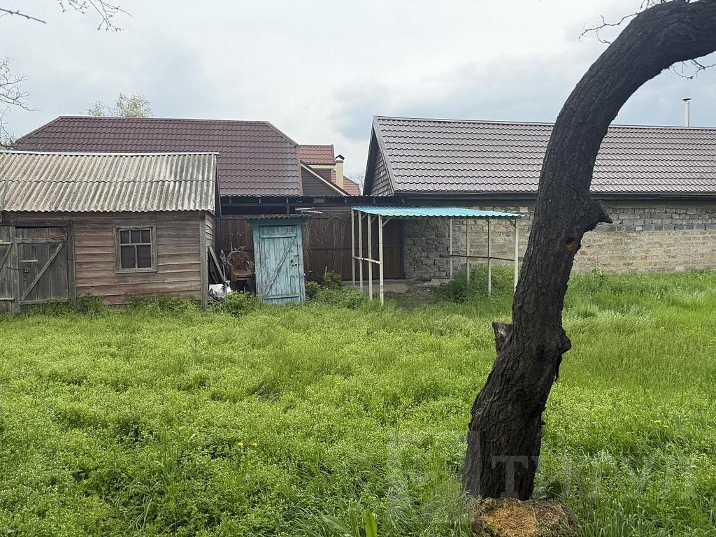 домрайон  Фото 5