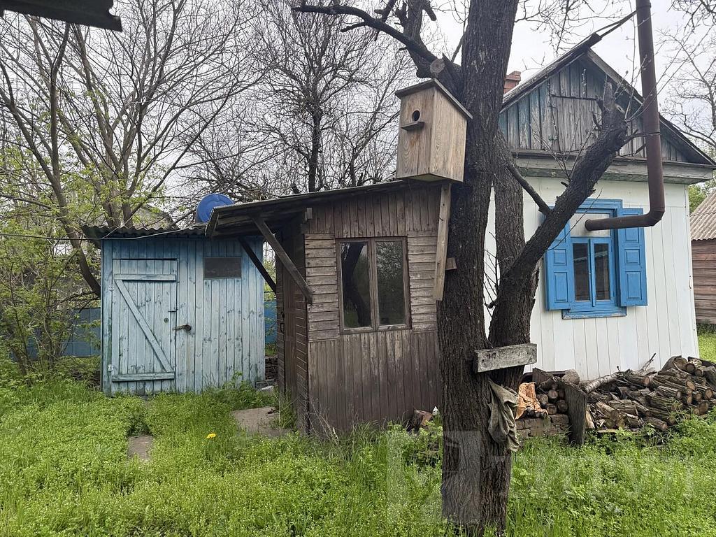 домрайон  Фото 4