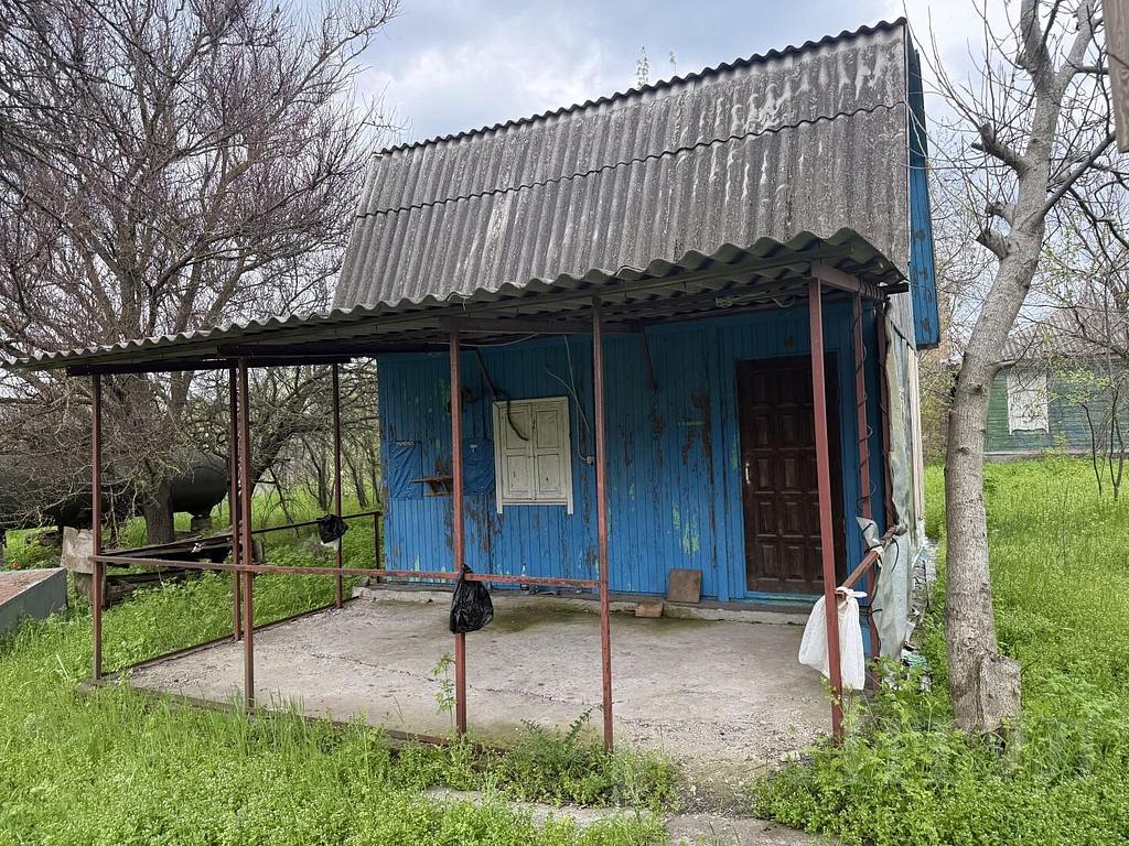 домрайон  Фото 3