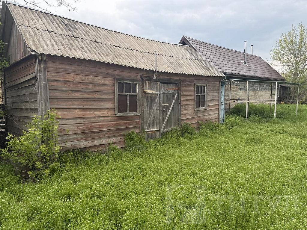 домрайон  Фото 2