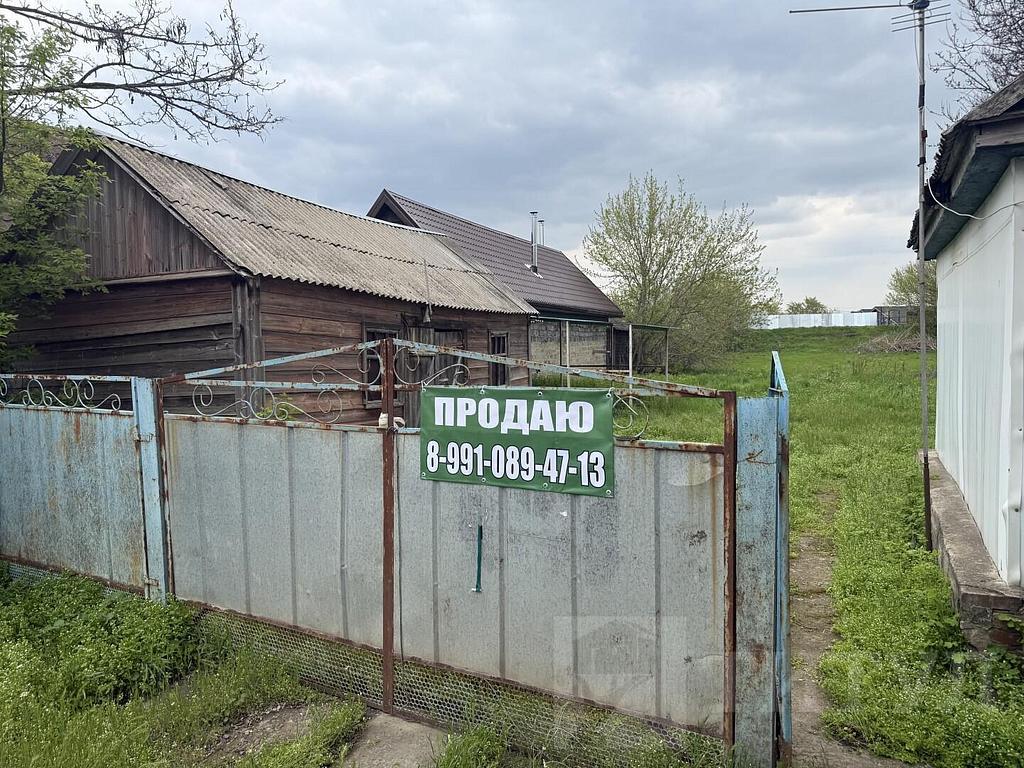 домрайон  Фото 1