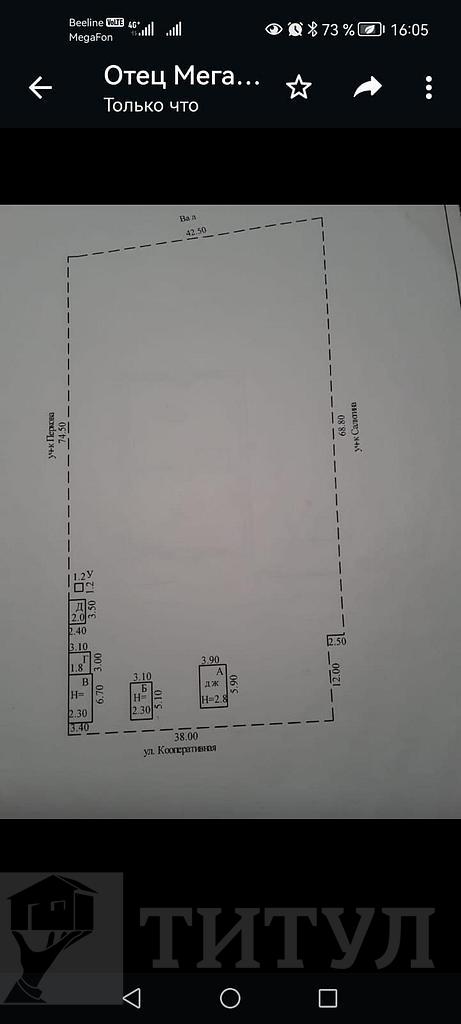 домрайон  Фото 10