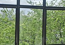 Thumb medium 0b85fd6b417cfb094f53a07bbec89bea