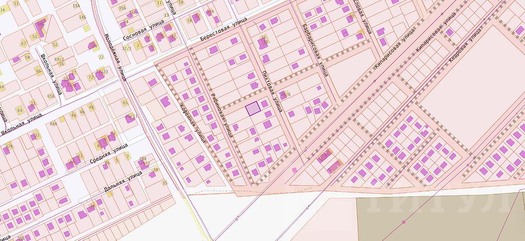 домрайон  Фото 4