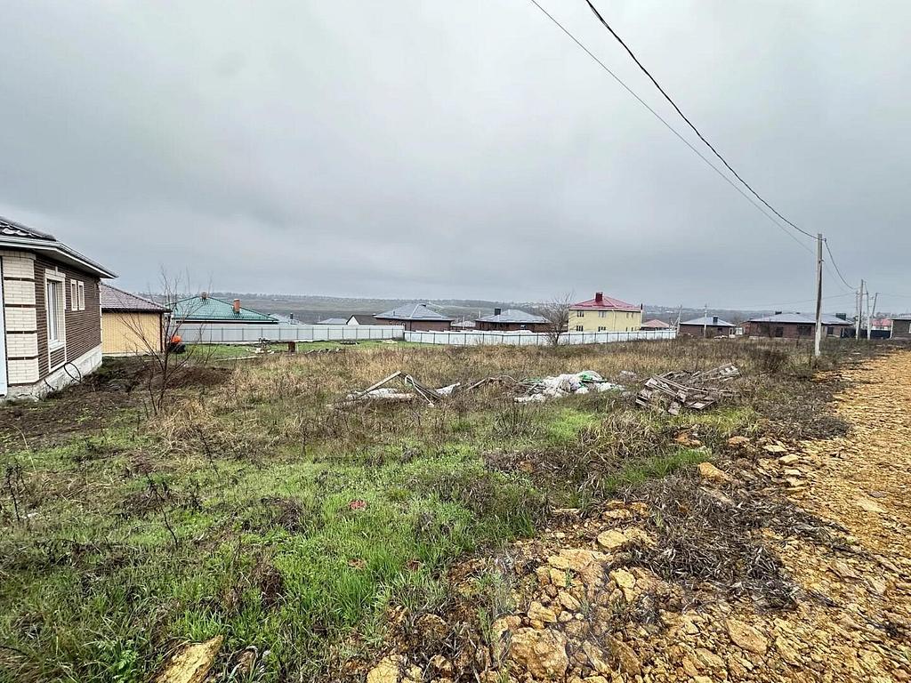 домрайон  Фото 1