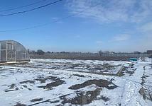 Thumb medium 89a433885665cb337064ccab1284c333