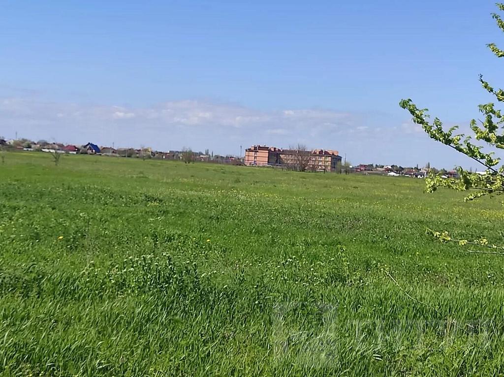 домрайон  Фото 2