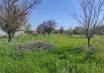 Thumb medium 5632953b8ceb664be3412d62964935a1