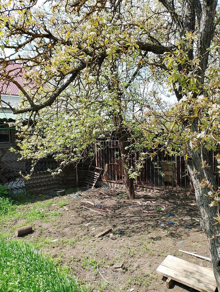 трехкомнатный домрайон  Фото 39