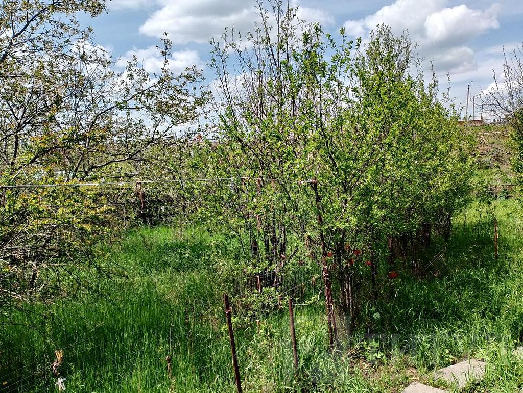 трехкомнатный домрайон  Фото 35