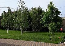 Thumb medium b4c4f81d0c0de3597a19fbe95eb9789a