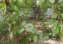 Thumb medium ff144d2ba188970224adda3e28dc7424