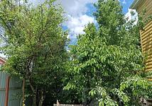 Thumb medium 364d10fe116b25303e4791d3a0db6e39