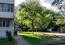 Thumb medium 907480d09c5e188d1f2aa4ec80306139
