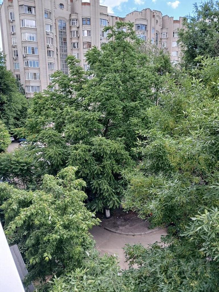 трехкомнатная квартира Центр, район  Фото 23