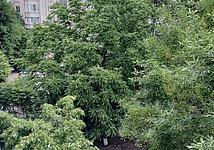 Thumb medium 976a19fffd82d8f4369b26771b063b4d