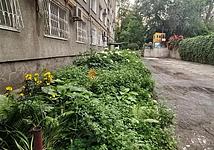 Thumb medium 7b827d2aa13626f1c49d18d13f55b049