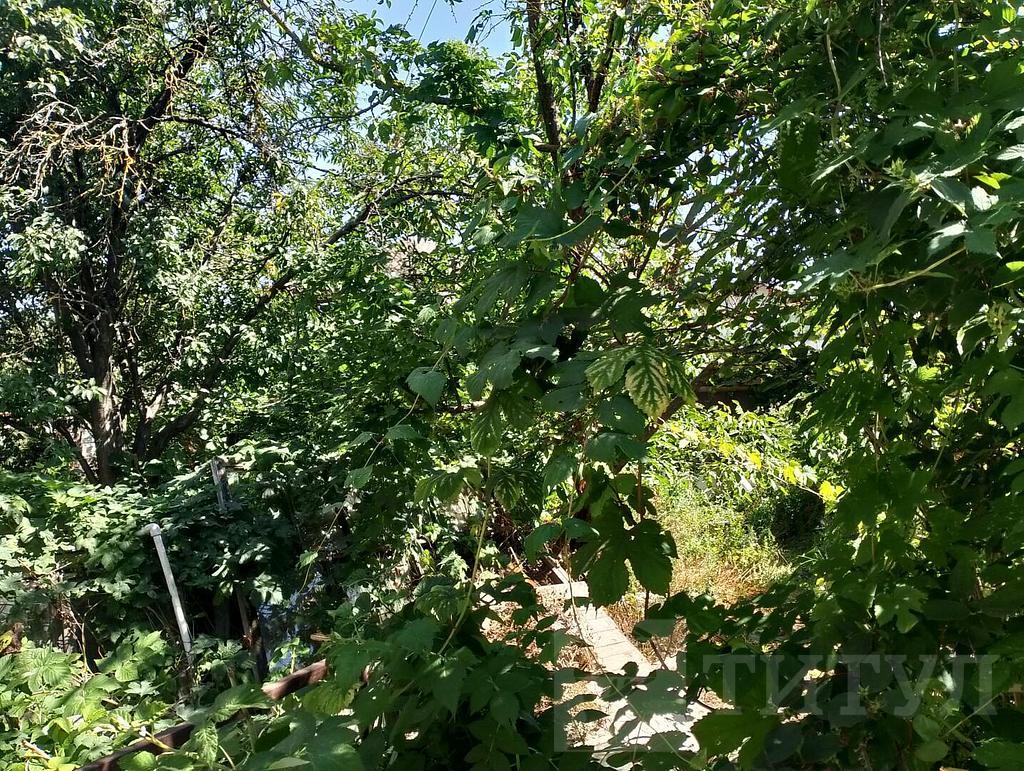 трехкомнатный домрайон  Фото 20