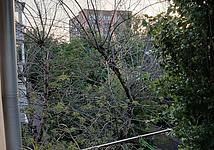 Thumb medium a71e8d9ce2a85c5adf7959dde5e9d918
