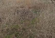 Thumb medium 3b5f75d9509098aef256491bc33d41bc