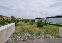 Thumb medium aea93c3a6fb675c658a03c6128c4c242