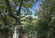 Thumb medium f72819dae605d27ee68ea995d526fa06