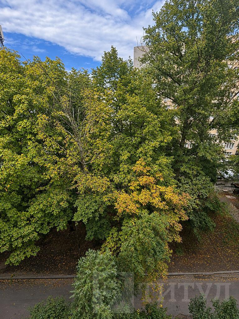 трехкомнатная квартира, район Фото 8