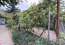 Thumb medium 3aa0555e18447156d62c38cbcd295027