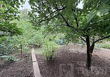 Thumb medium 7116a68233360dec26c6dac55667f976