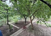 Thumb medium 4b1c24b677bb2a2f2b57012db3fd2351